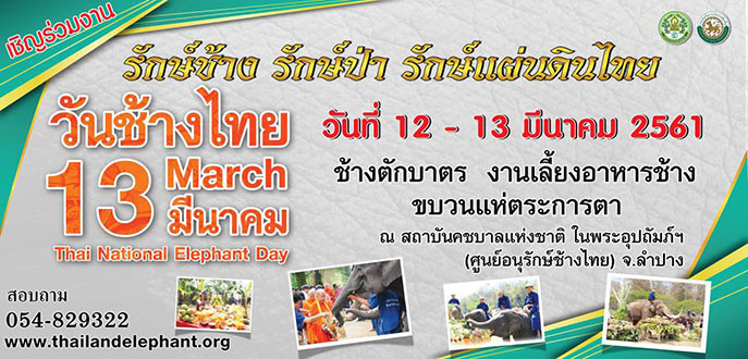 泰國大城府大象自助餐節宣傳