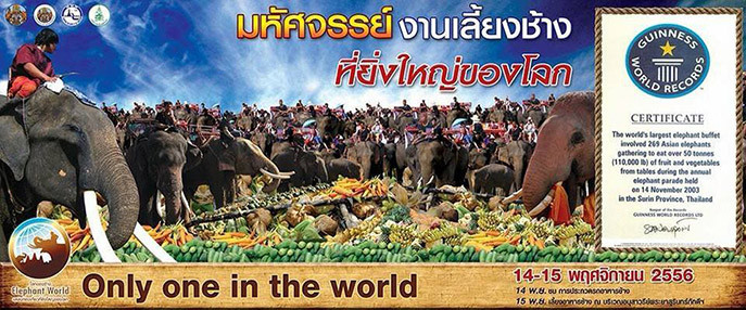 泰國素輦府大象節活動宣傳