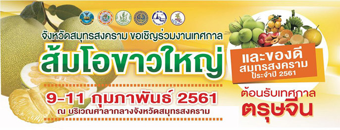 泰國清萊府柚子節活動宣傳