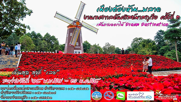 泰國黎府聖誕紅賞花節活動宣傳