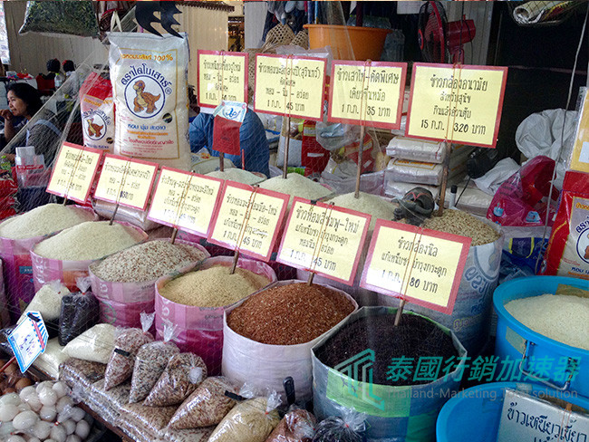 泰國各式米種